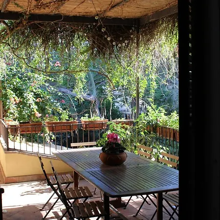 The Garden