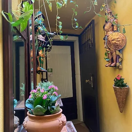 The Garden