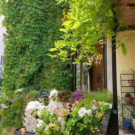 فندق مبيت وإفطار The Garden كاتانيا