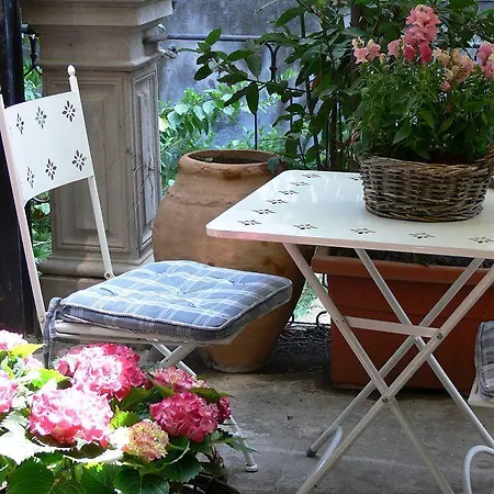 The Garden