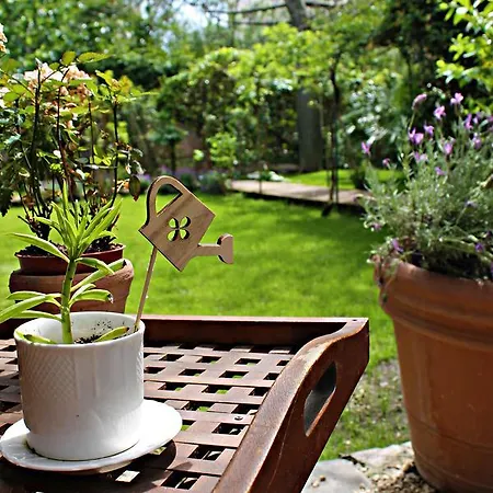 The Garden فندق مبيت وإفطار 4*